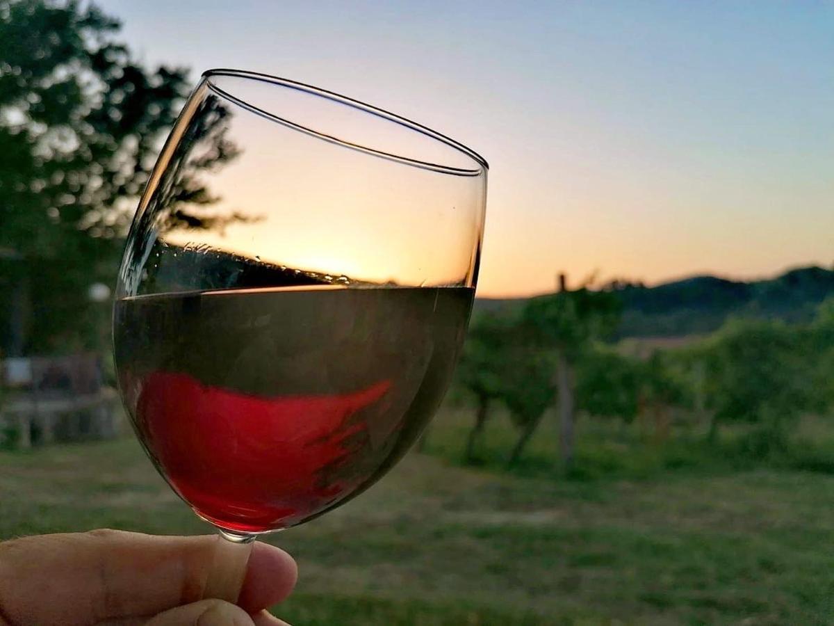 Podere Bellavista San Gimignano Extérieur photo