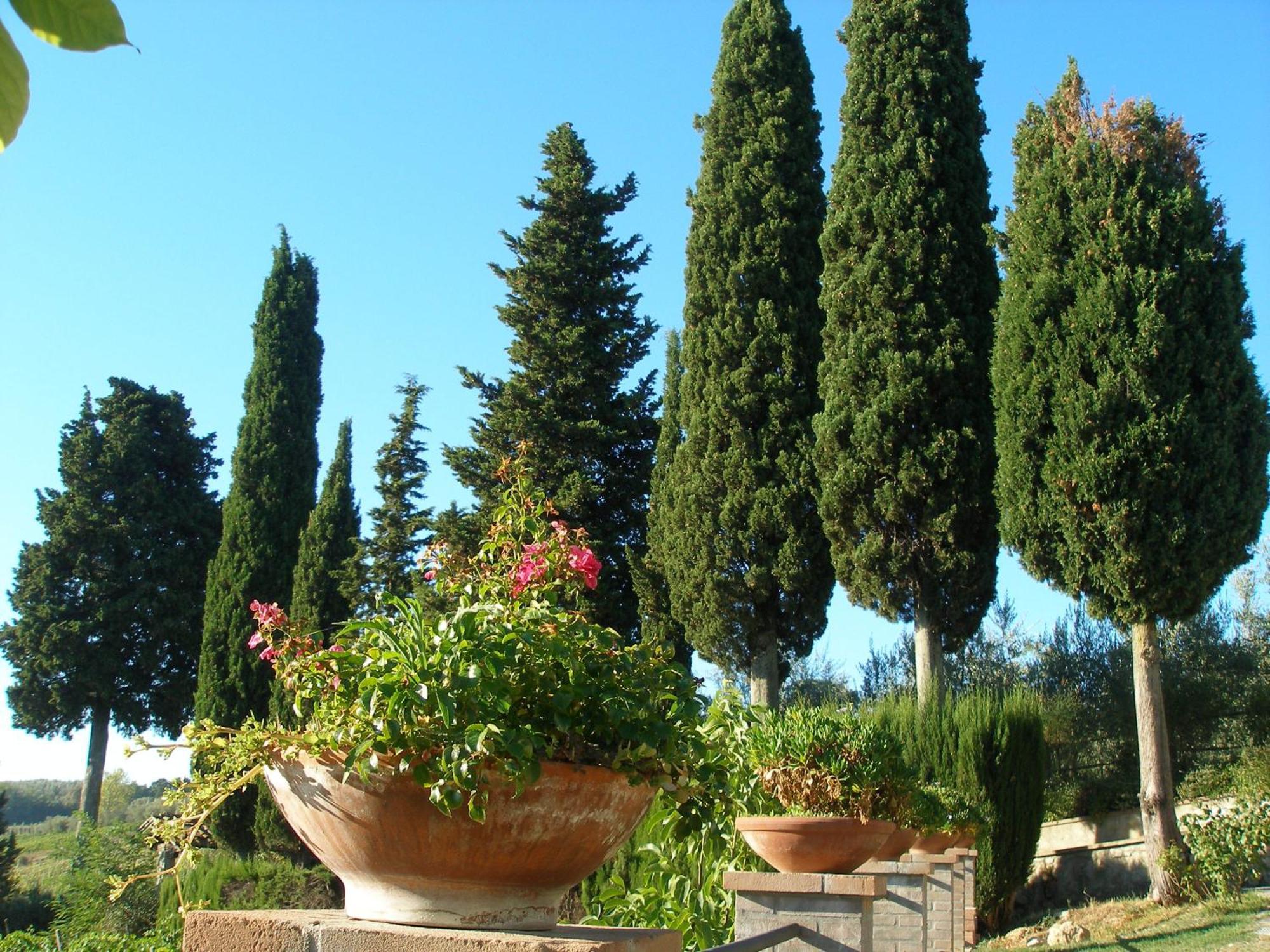 Podere Bellavista San Gimignano Extérieur photo