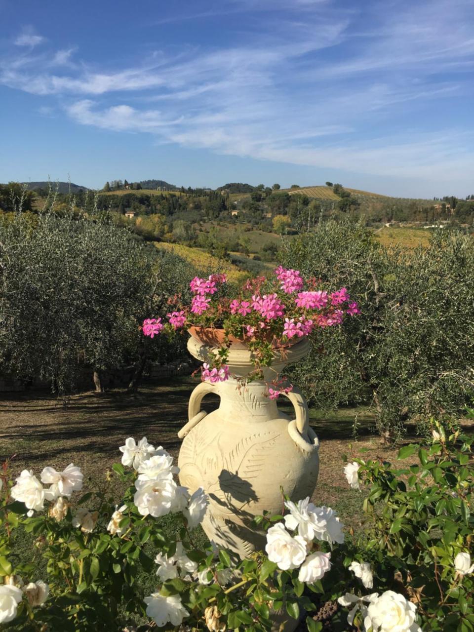 Podere Bellavista San Gimignano Extérieur photo