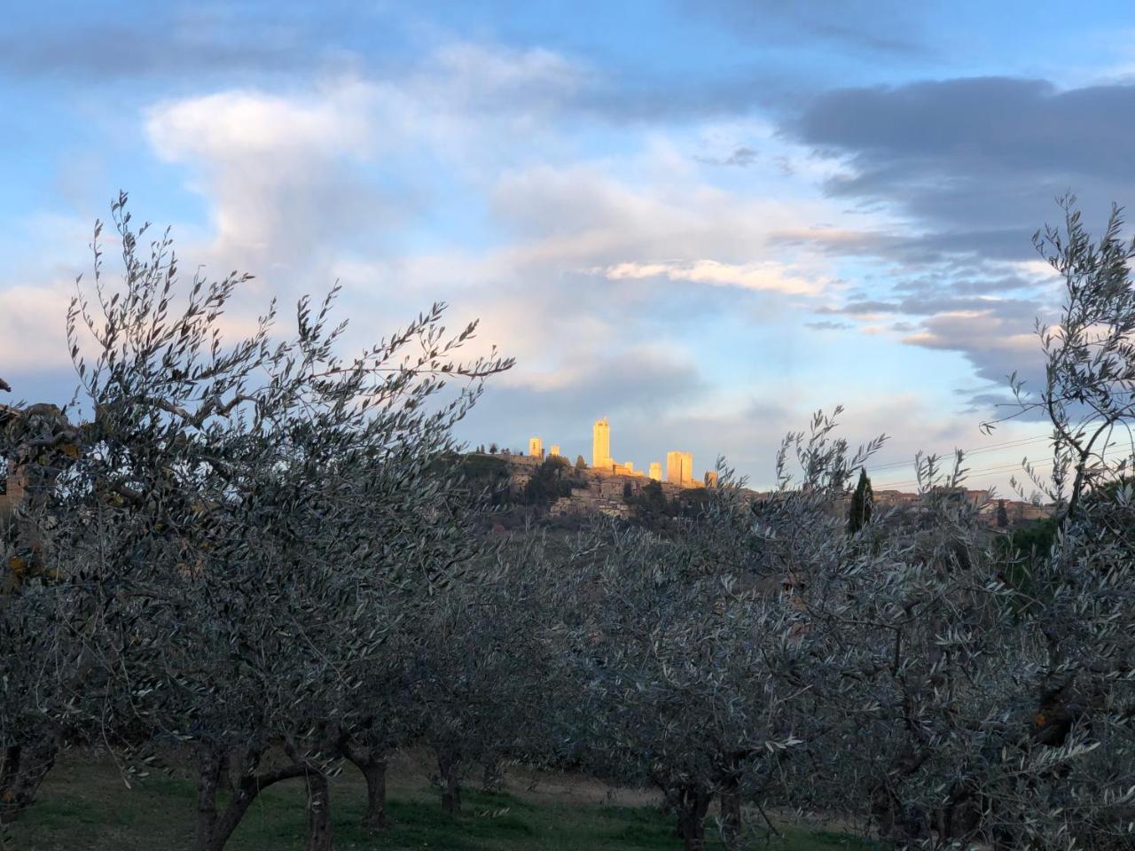 Podere Bellavista San Gimignano Extérieur photo