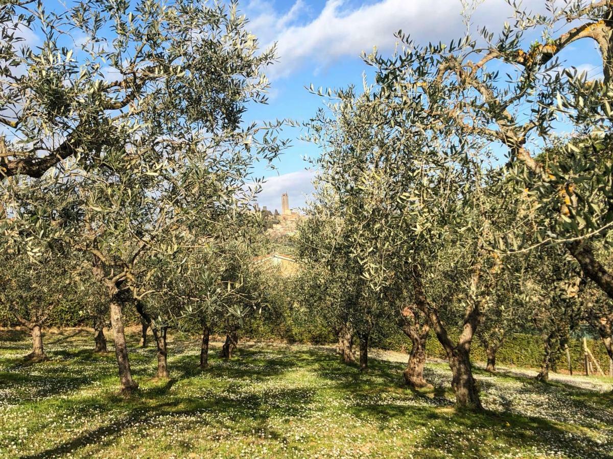 Podere Bellavista San Gimignano Extérieur photo